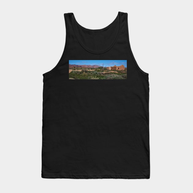 Ruins in the outback Tank Top by Andyt